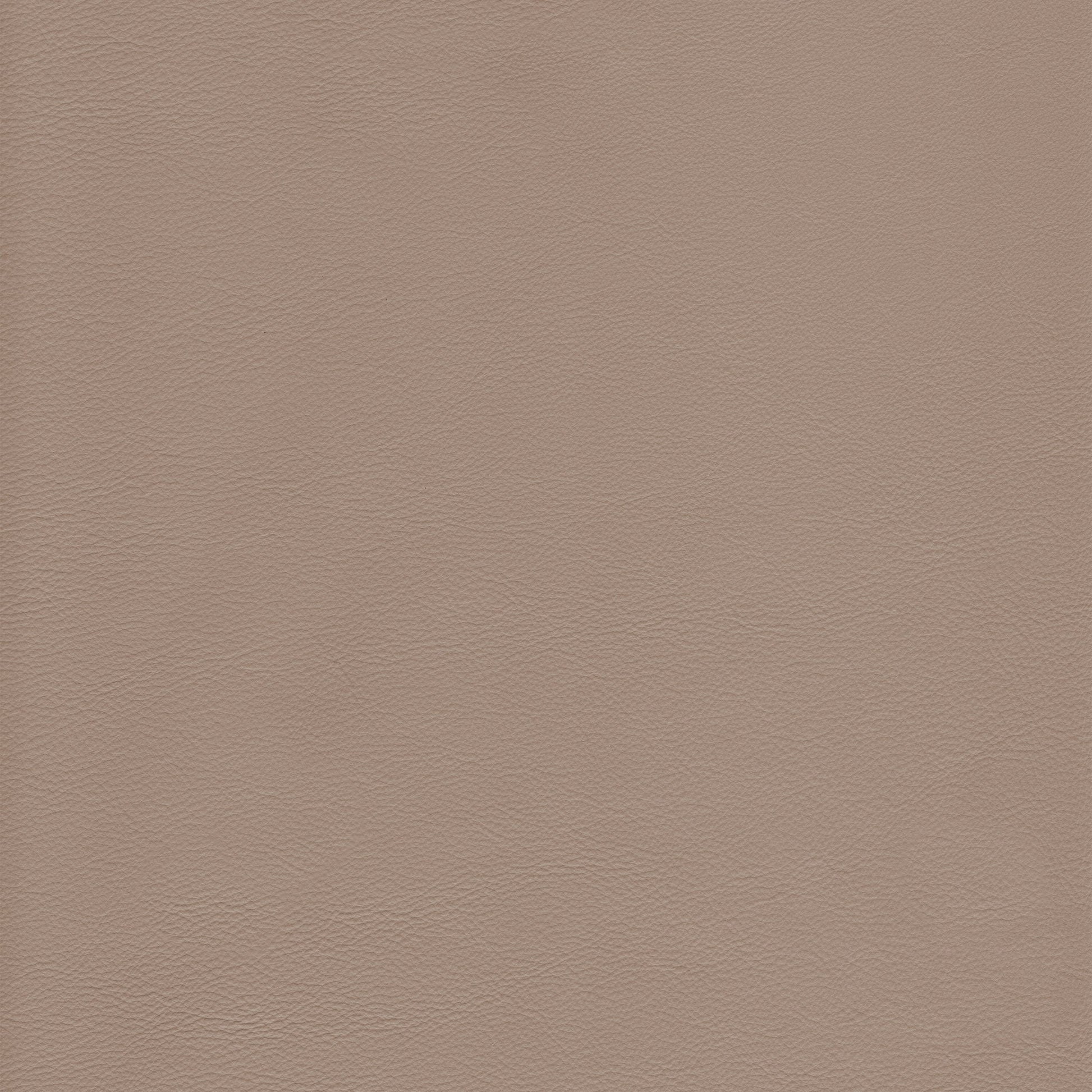 Lena 3394 Pietra leather swatch: light taupe textured leather.