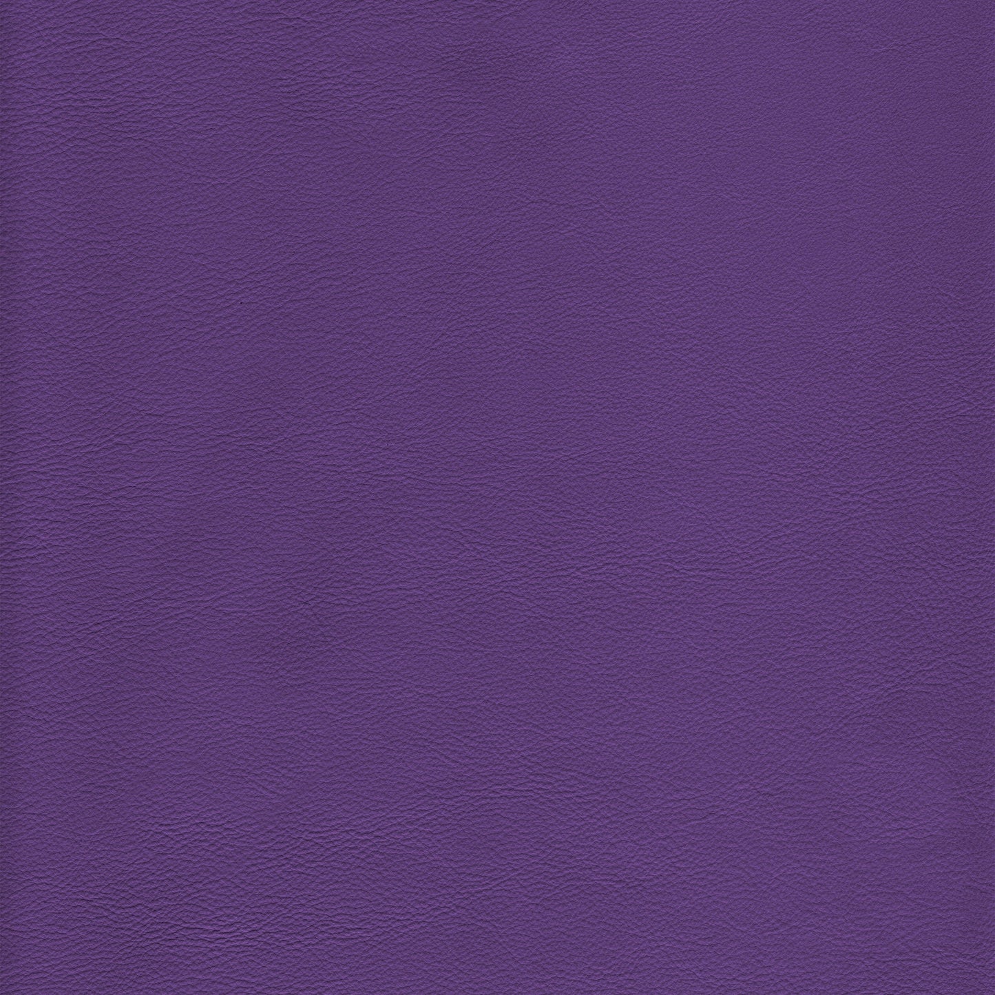 Lena 4420 Amethyst textured leather swatch.