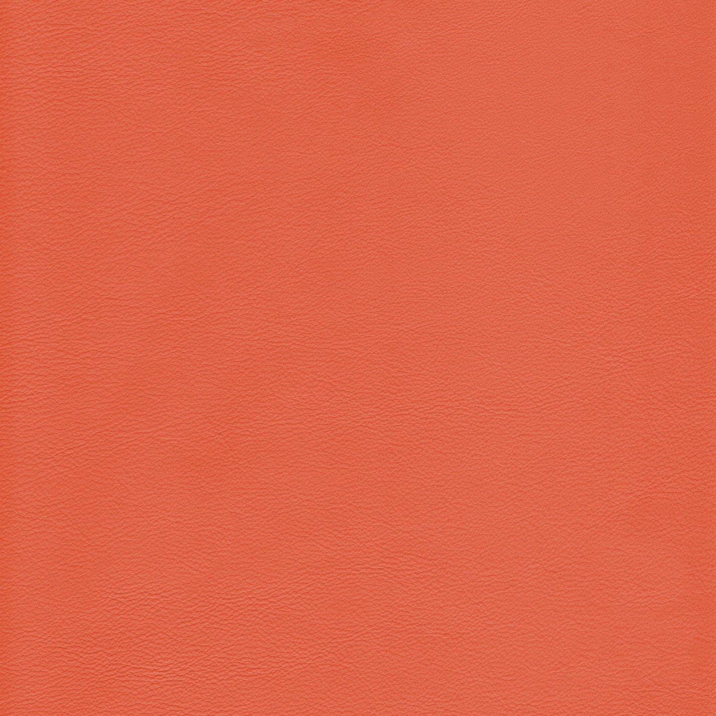 Lena 4480 Blush leather swatch: textured coral-toned hide.