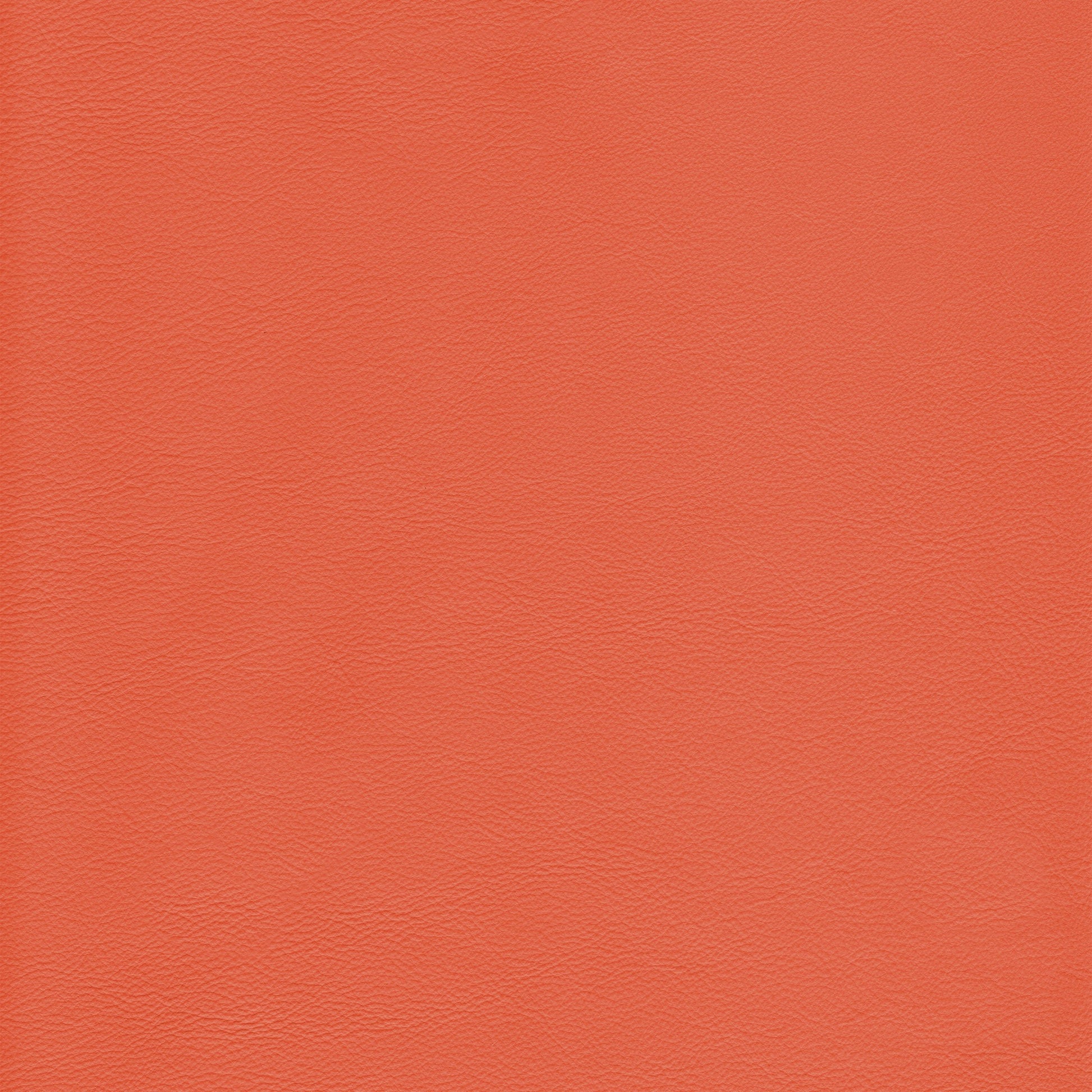 Lena 4480 Blush leather swatch: textured coral-toned hide.