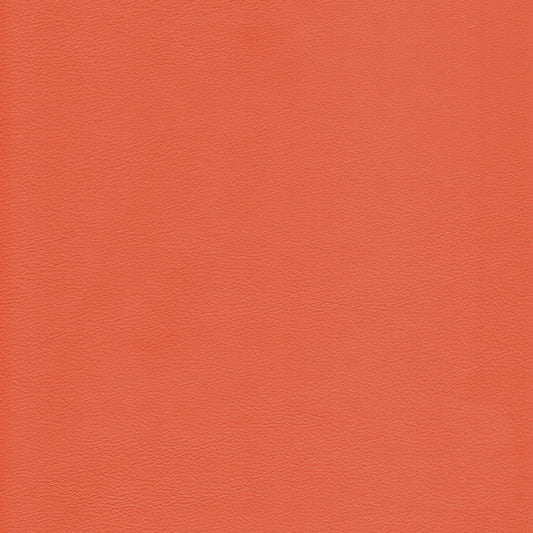 Lena 4480 Blush leather swatch: textured coral-toned hide.