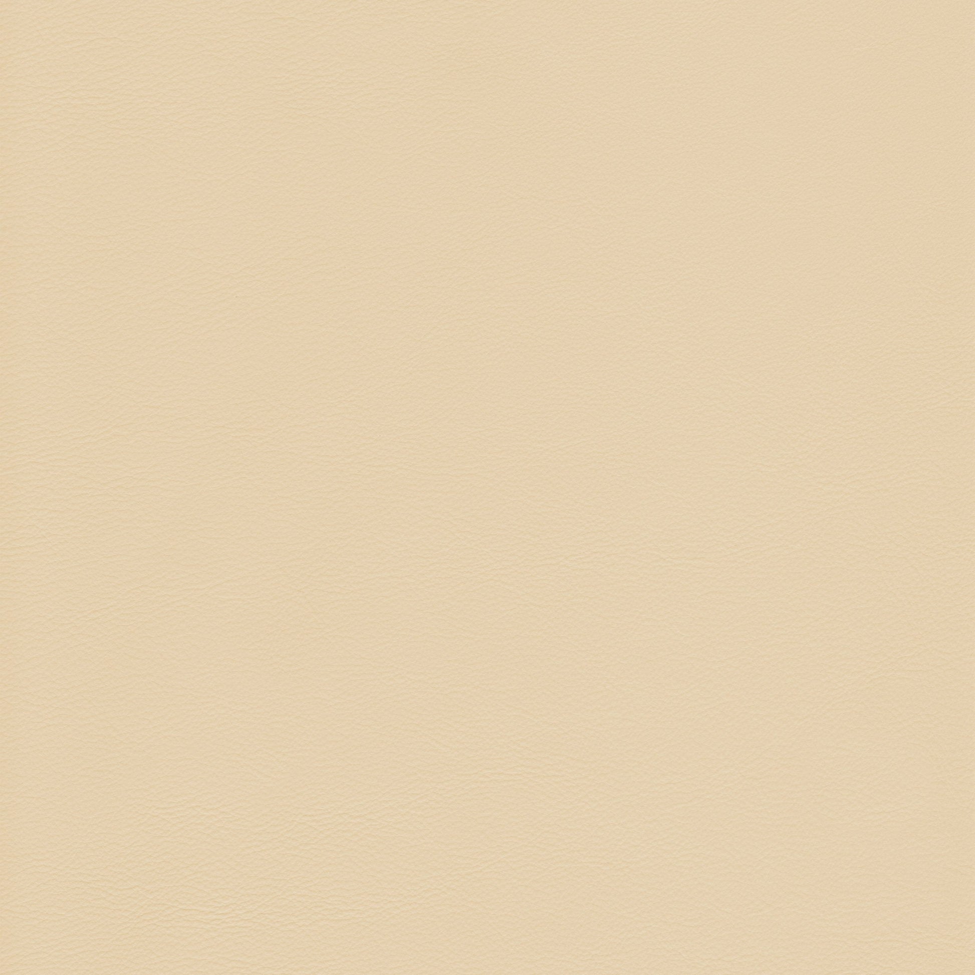 Lena 5432 Dover cream leather texture swatch