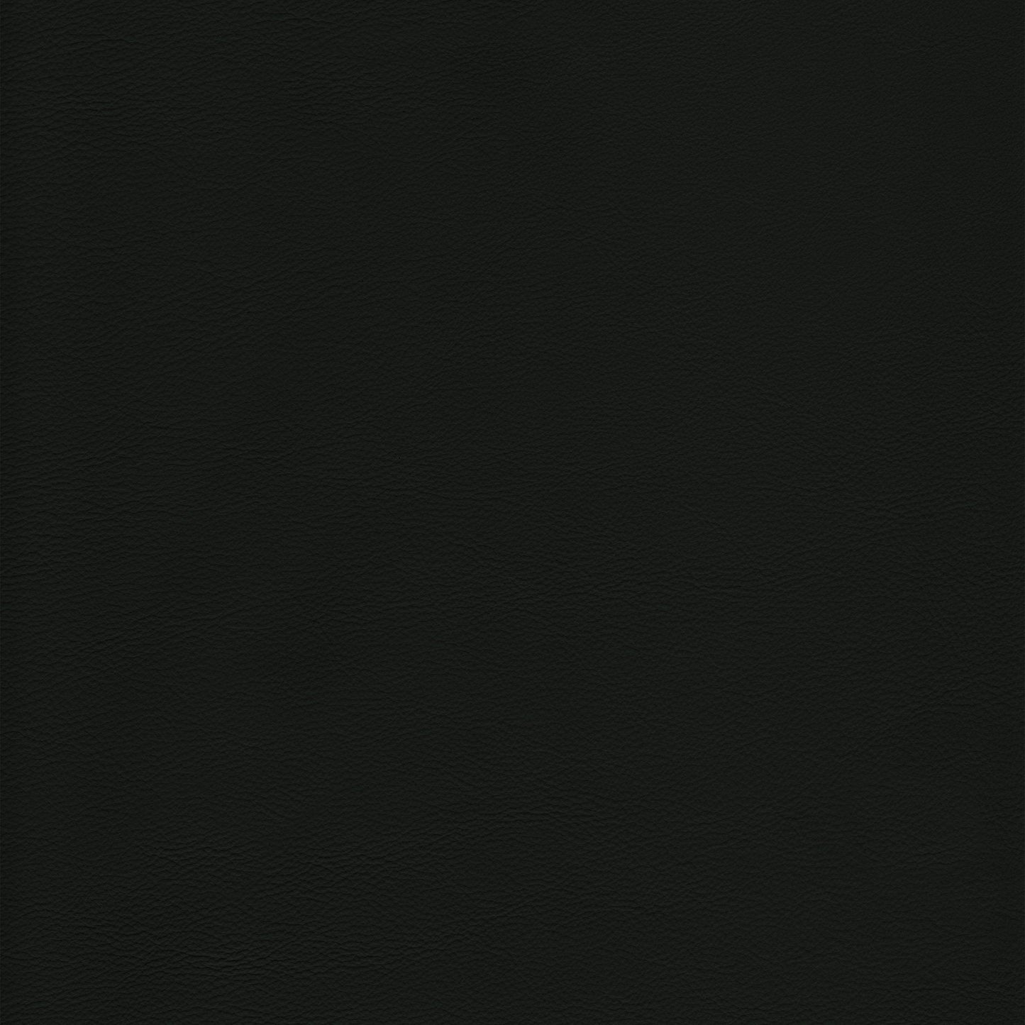 Lena 5454 Celtic: Black leather texture