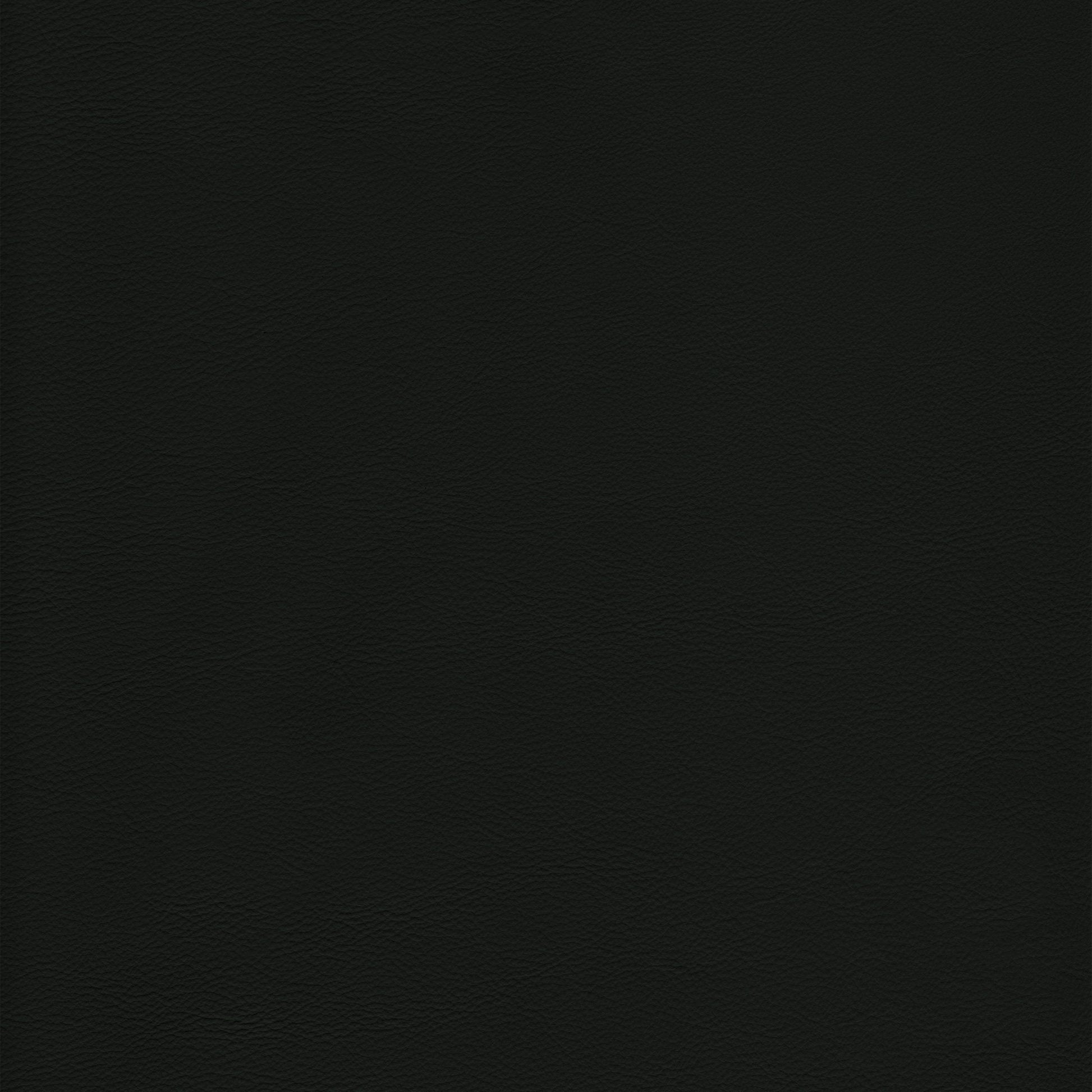 Lena 5454 Celtic: Black leather texture