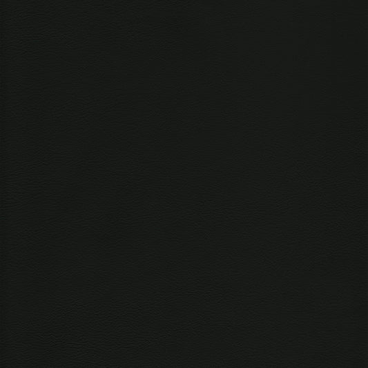 Lena 5454 Celtic: Black leather texture