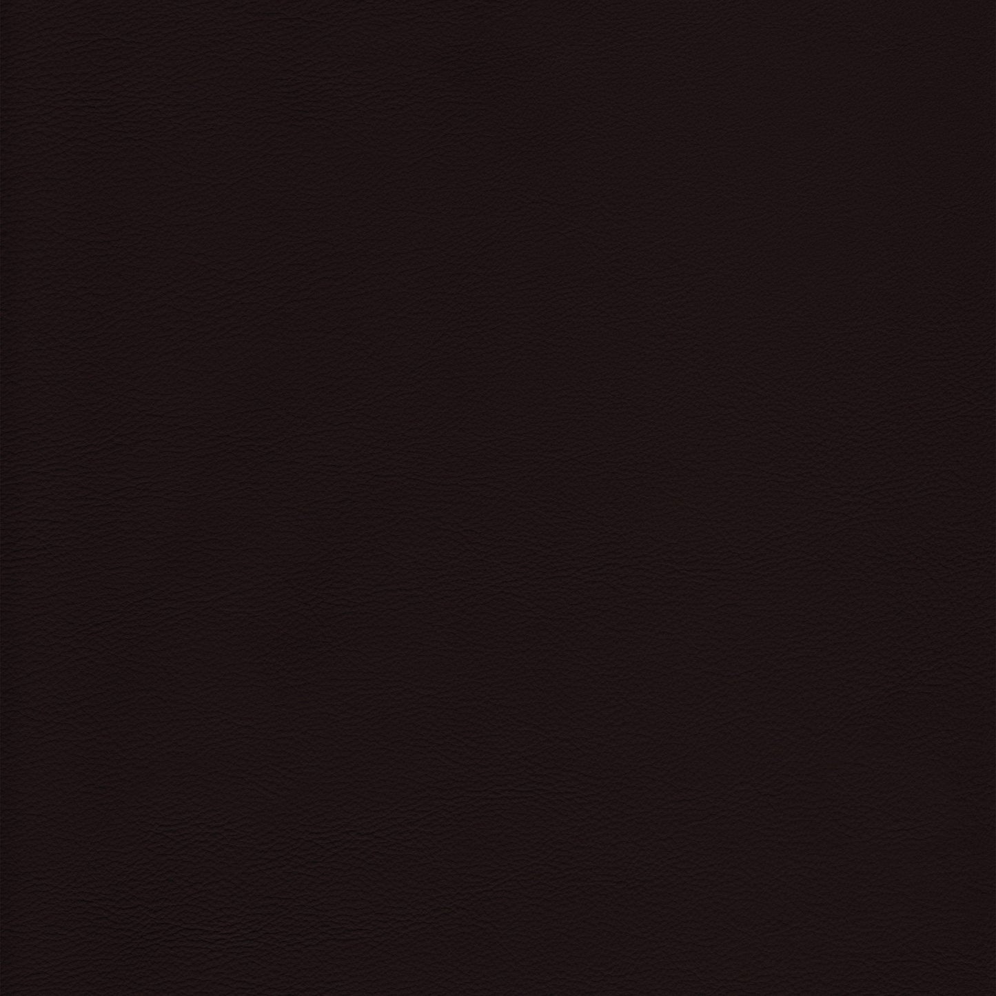 Lena 5458 Chocolate leather swatch: rich dark brown, textured grain.