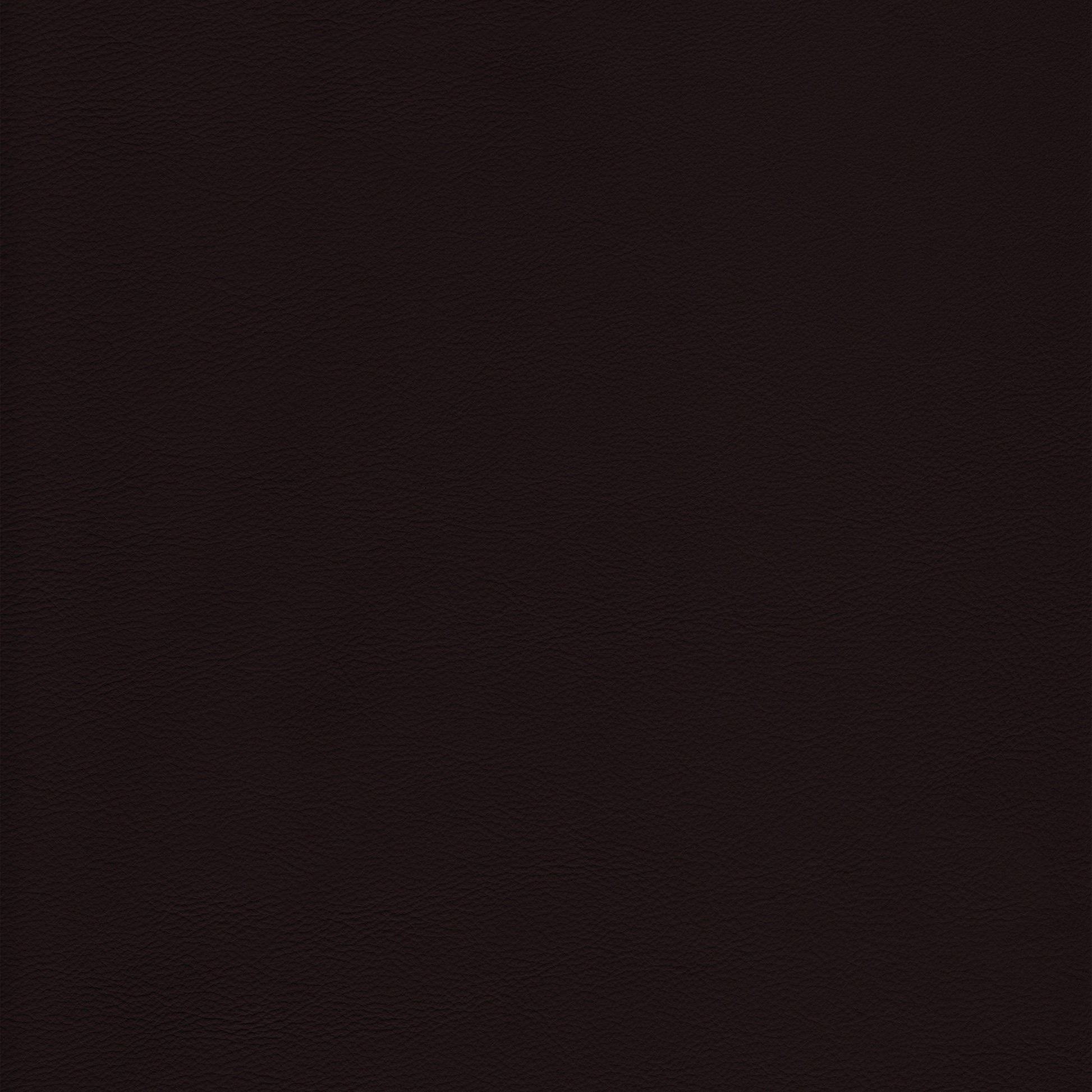 Lena 5458 Chocolate leather swatch: rich dark brown, textured grain.