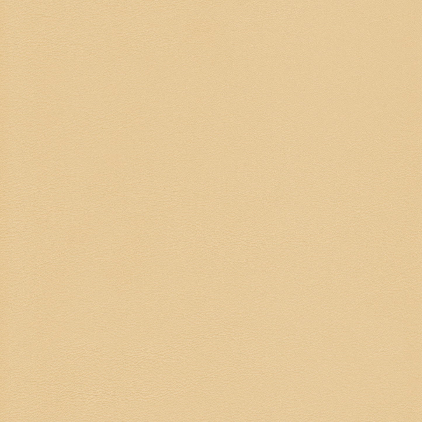 Lena 5461 Saffron leather swatch: pale yellow, textured finish.