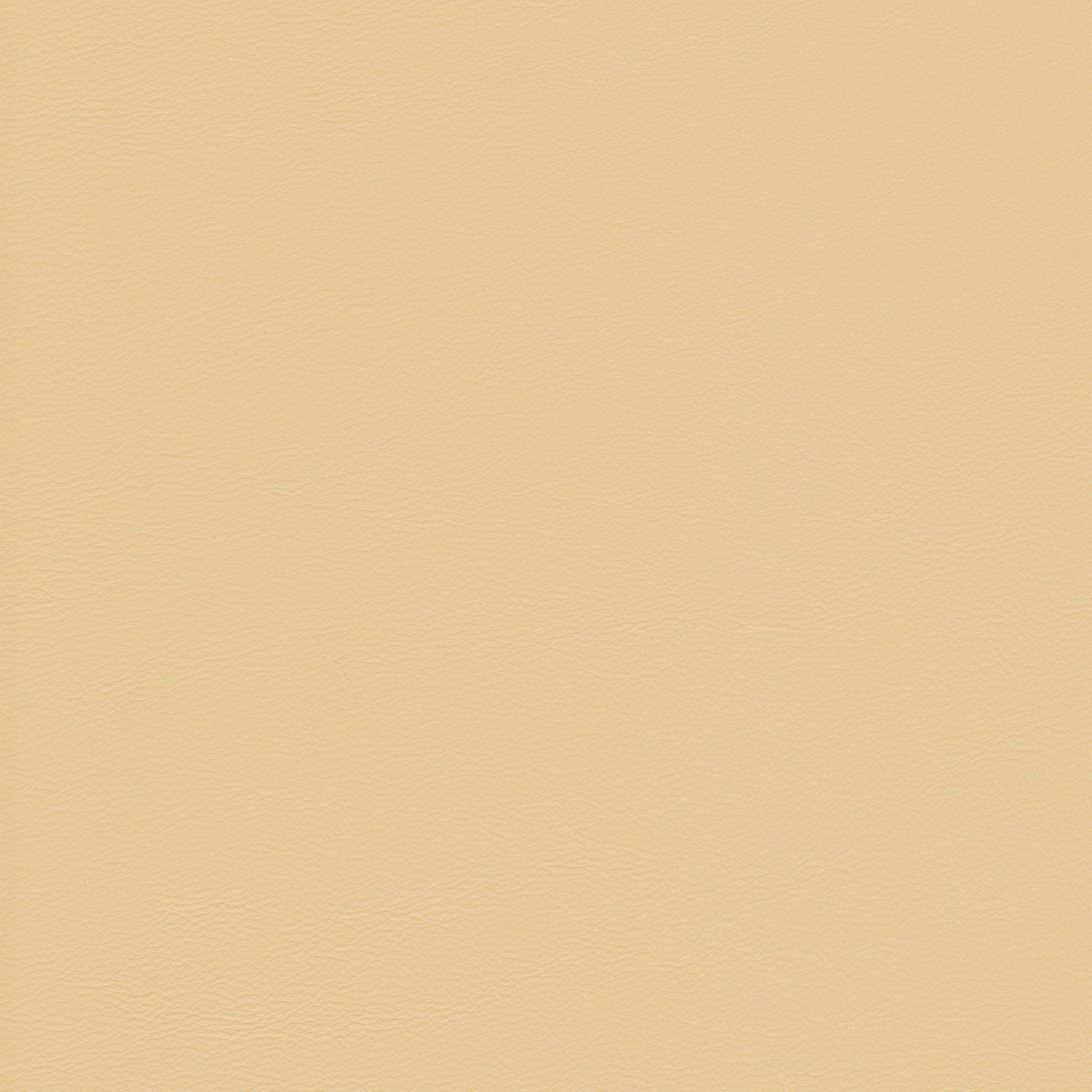 Lena 5461 Saffron leather swatch: pale yellow, textured finish.