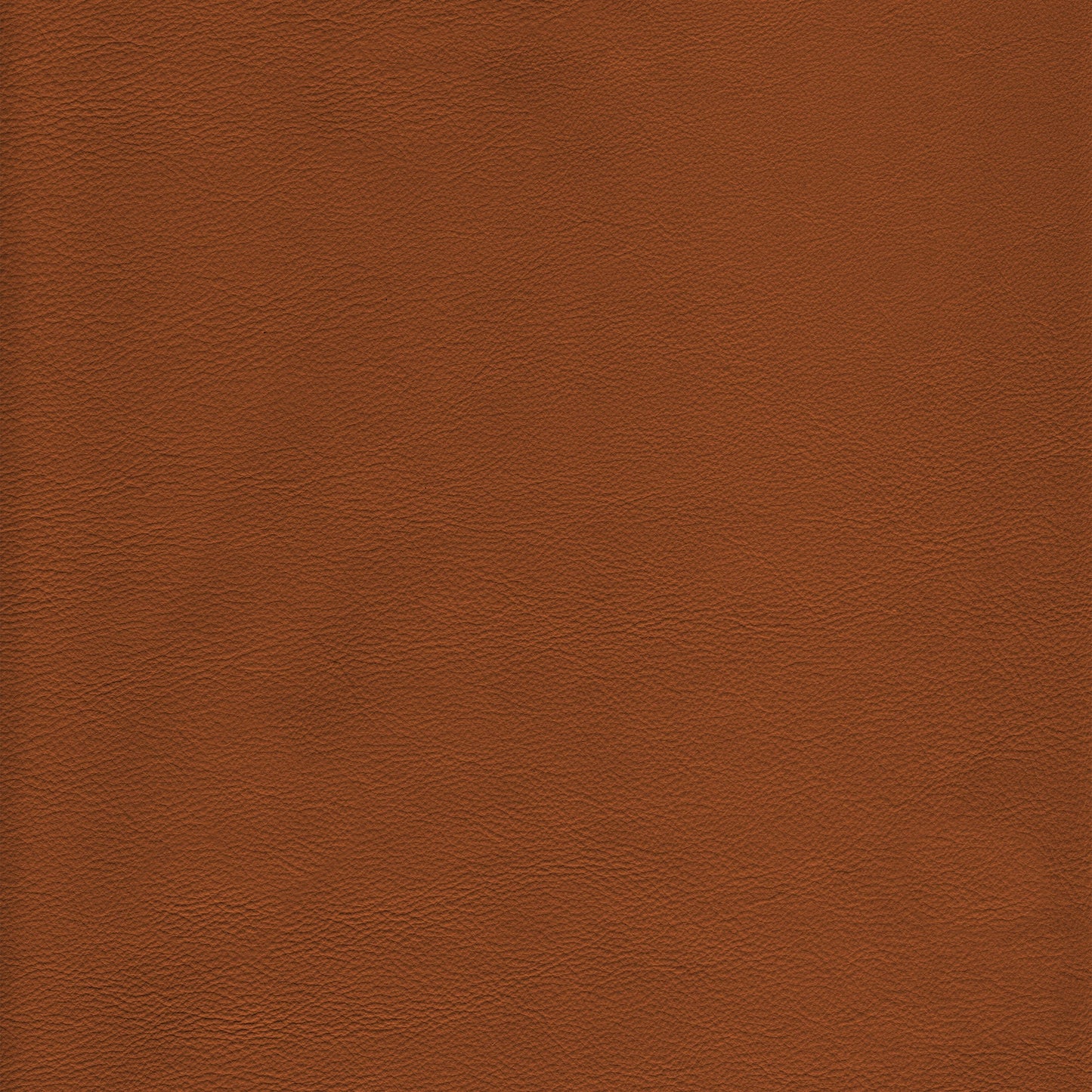Lena 5478 Caramel leather swatch: rich brown textured hide.