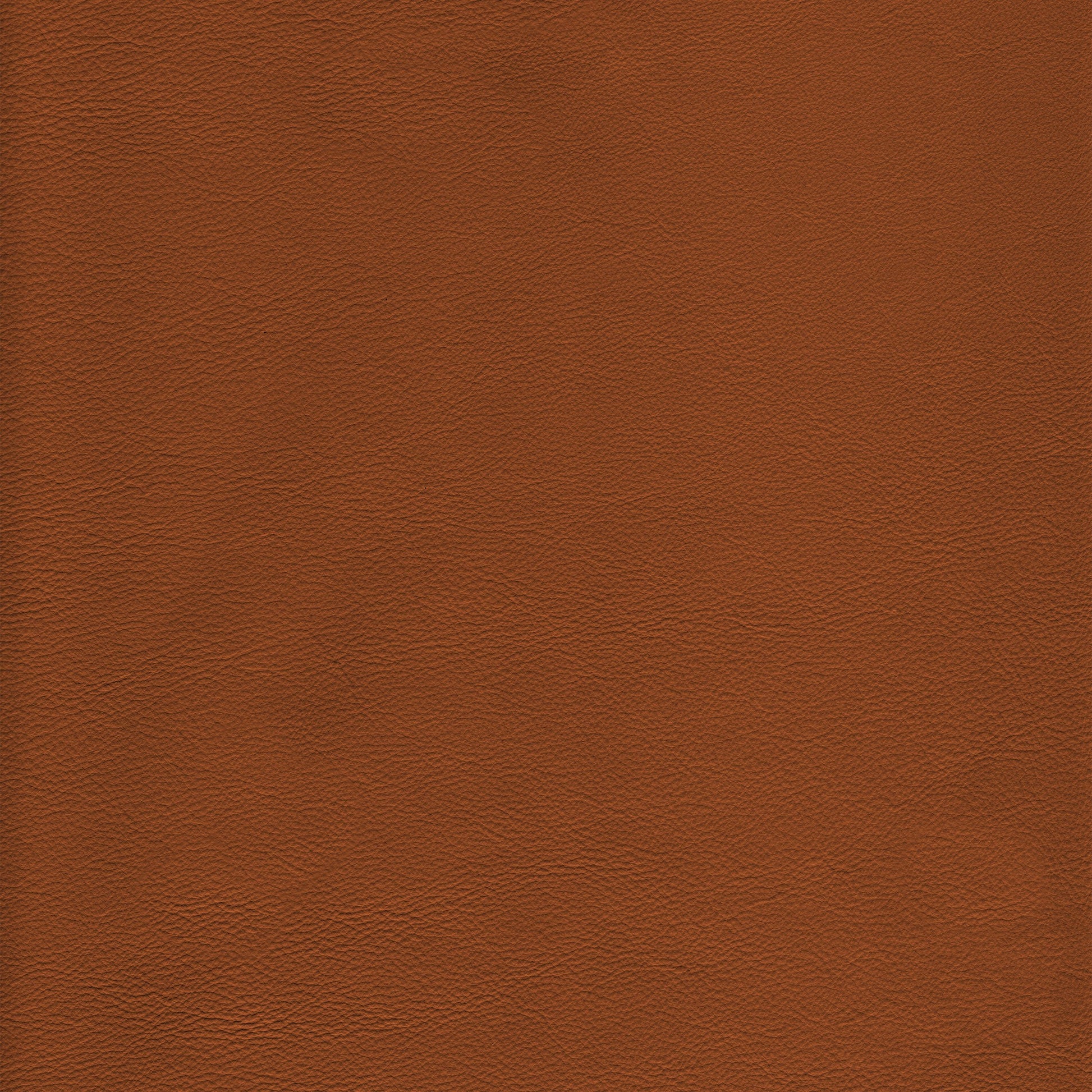 Lena 5478 Caramel leather swatch: rich brown textured hide.