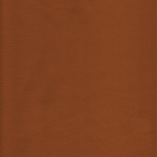 Lena 5478 Caramel leather swatch: rich brown textured hide.