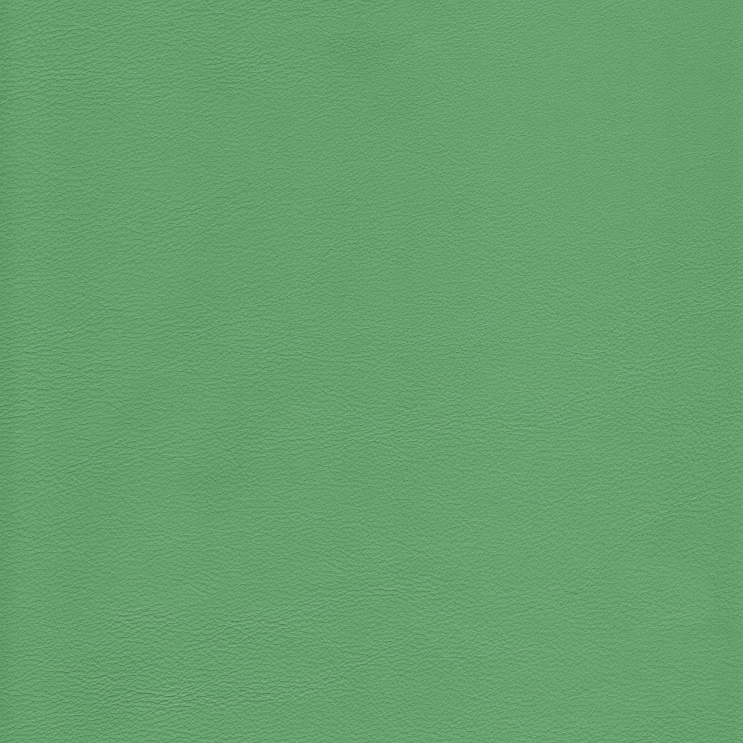 Lena 6068 Spearmint leather texture
