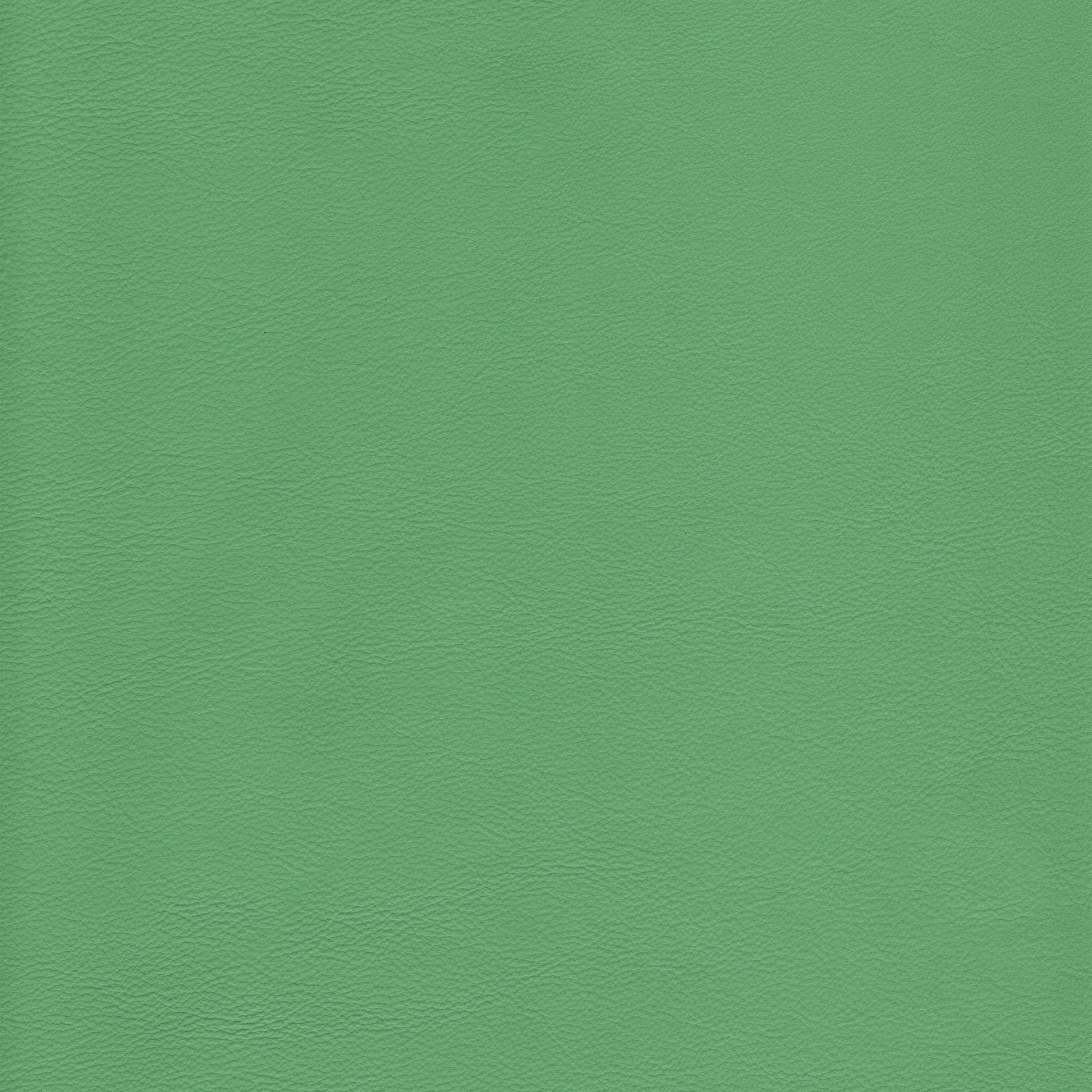 Lena 6068 Spearmint leather texture