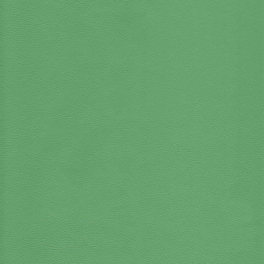 Lena 6068 Spearmint leather texture