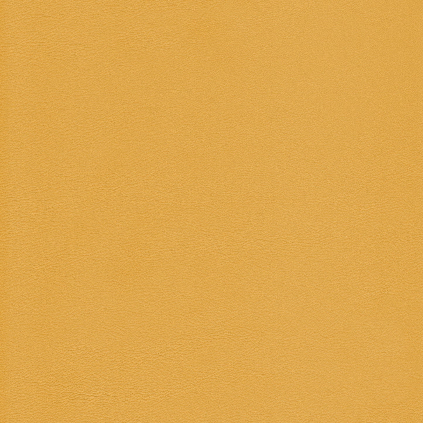 Lena 6367 Dijon mustard yellow leather texture swatch