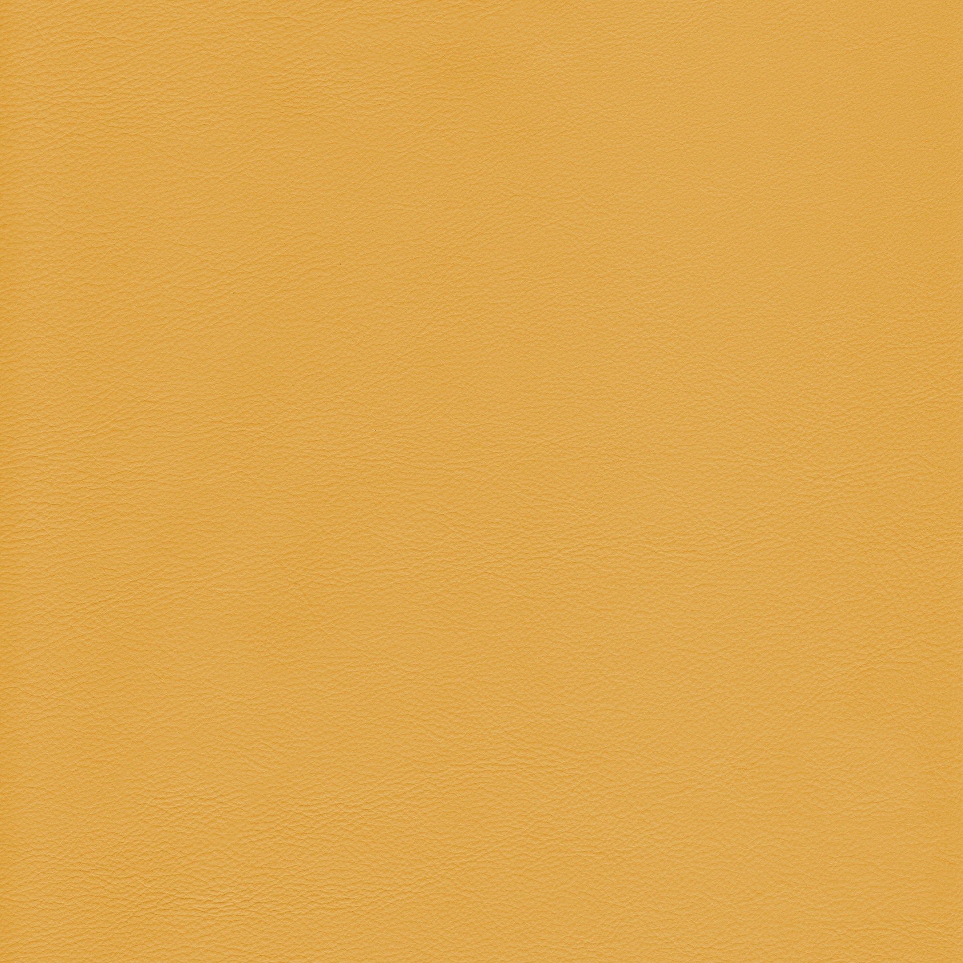 Lena 6367 Dijon mustard yellow leather texture swatch