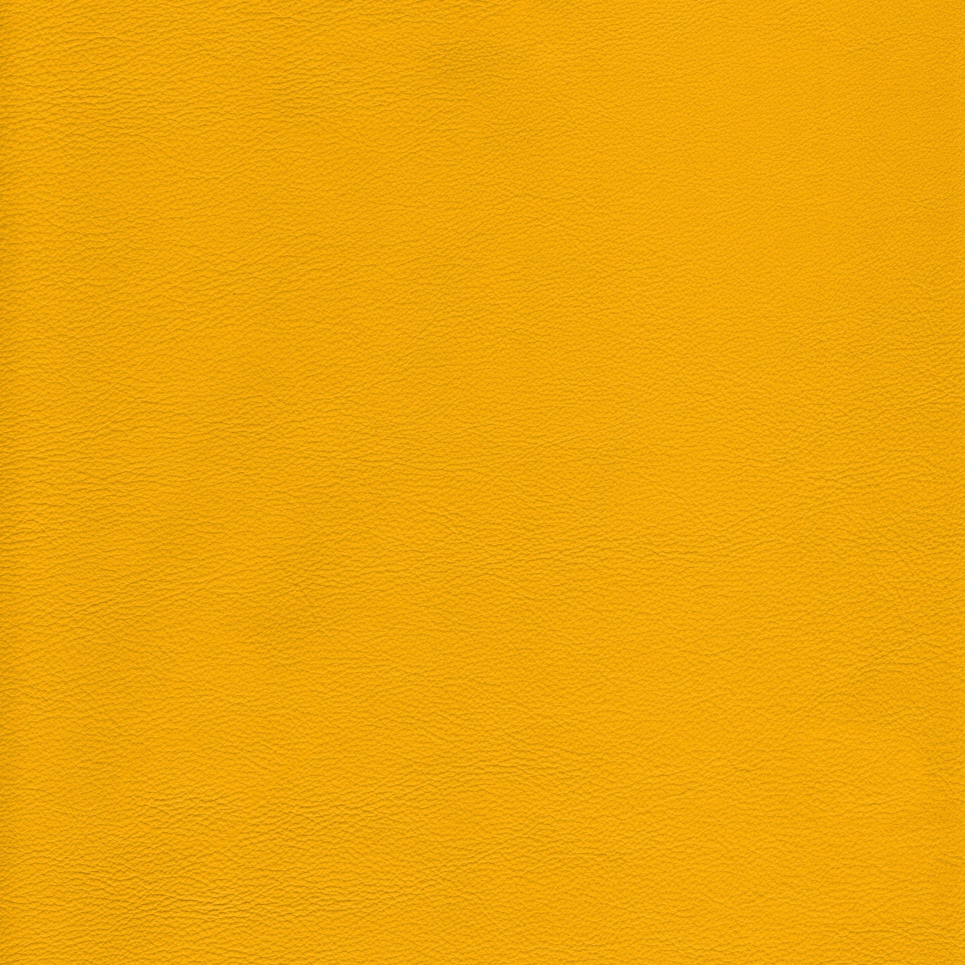 Lena 6400 Canary leather texture sample