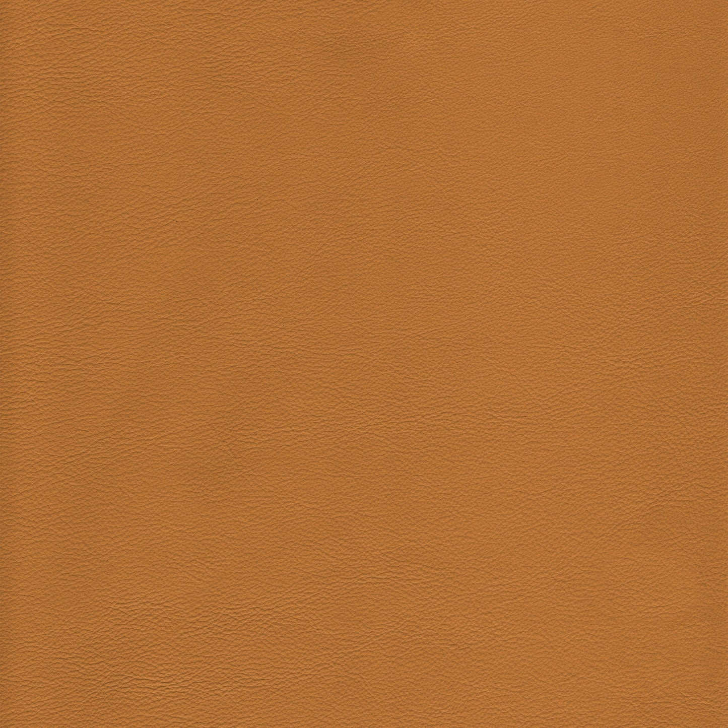 Lena 6677 Tan leather swatch