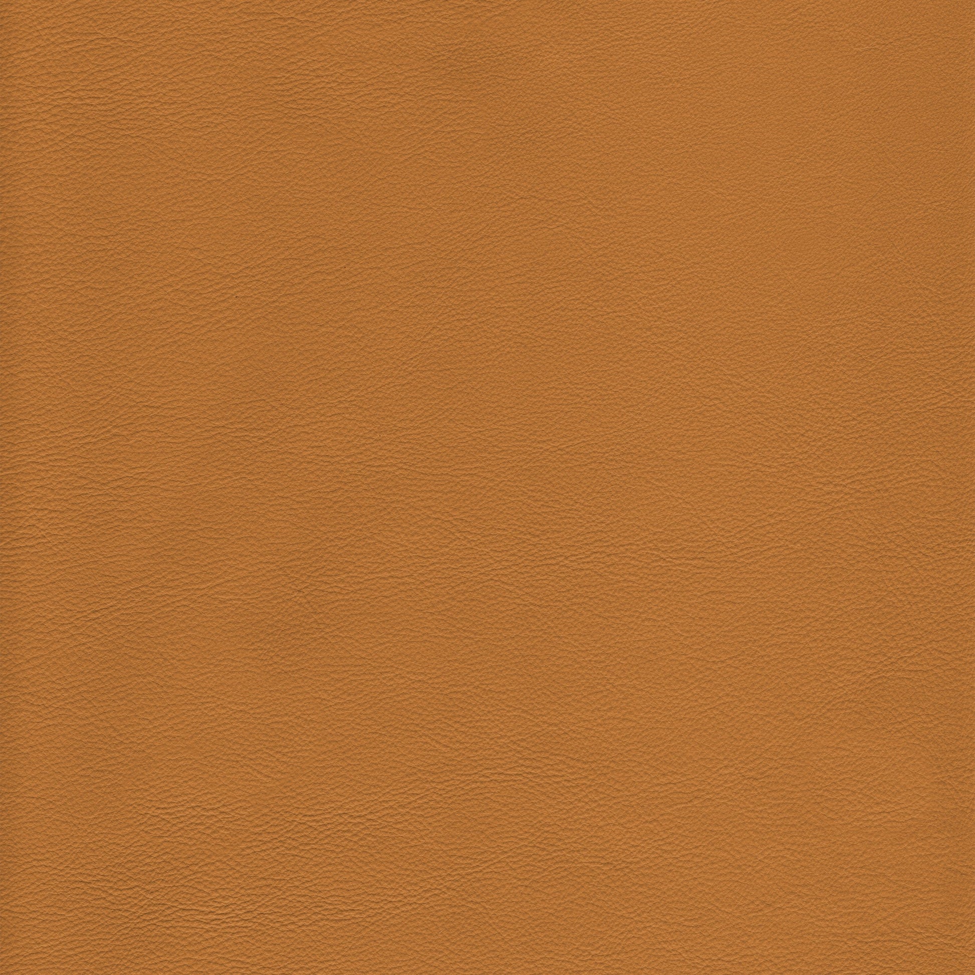 Lena 6677 Tan leather swatch