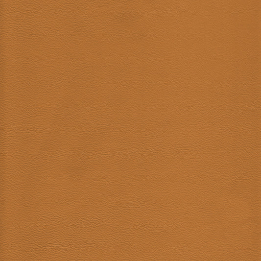 Lena 6677 Tan leather swatch