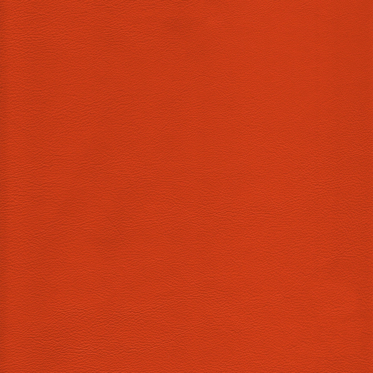 Lena 6688 Tangerine leather swatch: rich tangerine color, textured grain.