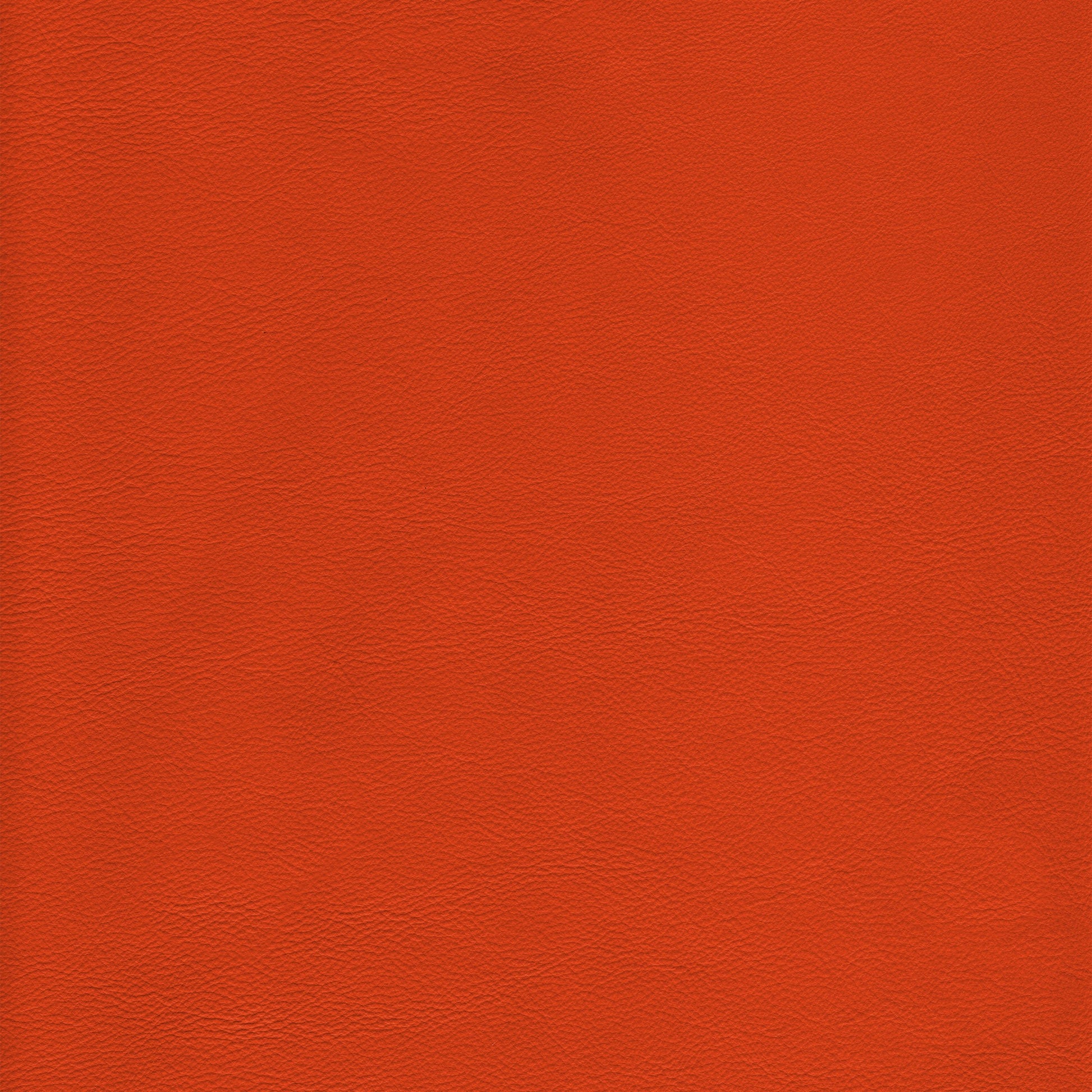 Lena 6688 Tangerine leather swatch: rich tangerine color, textured grain.