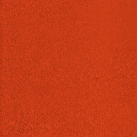 Lena 6688 Tangerine leather swatch: rich tangerine color, textured grain.