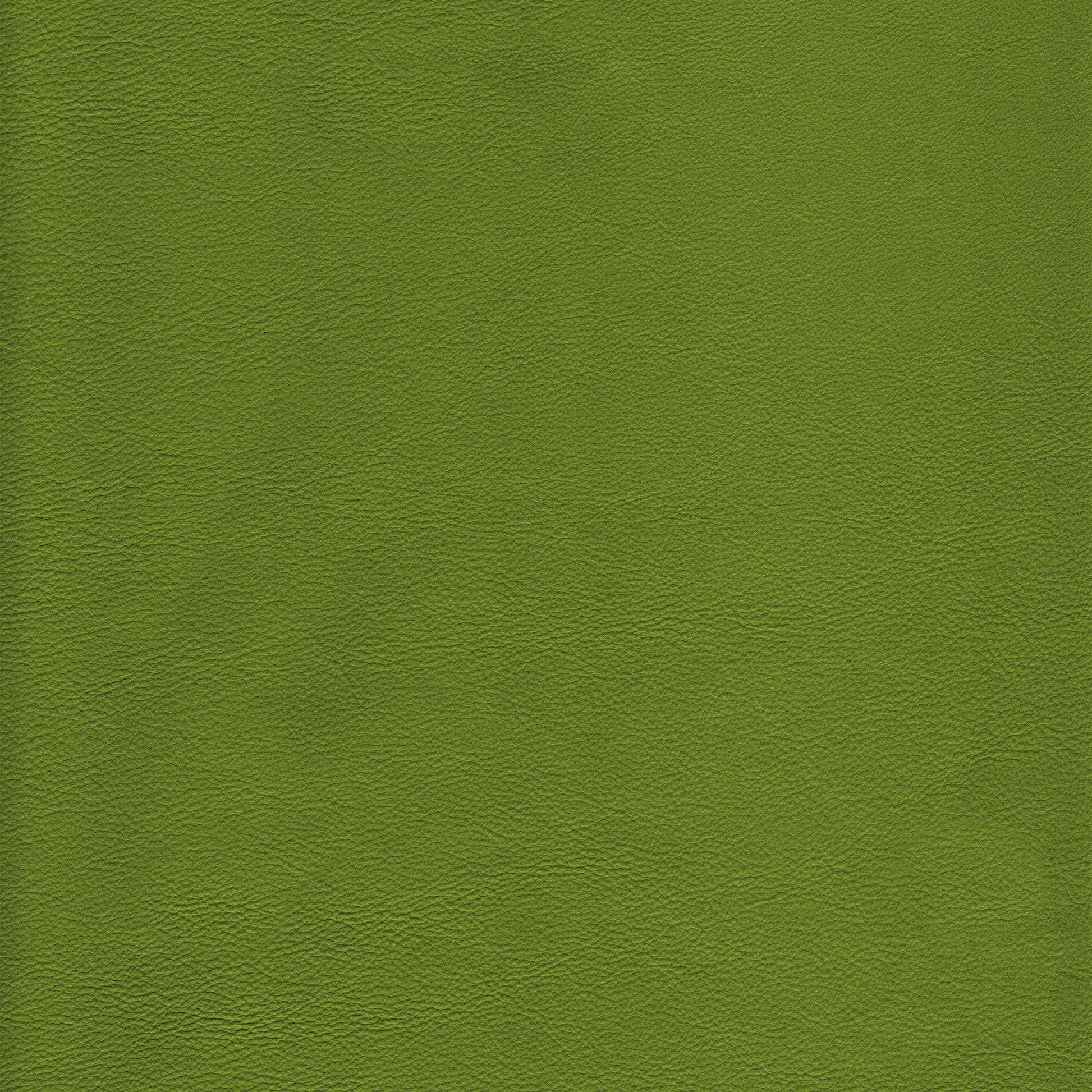 Lena 6699 Kiwi leather texture, olive green.