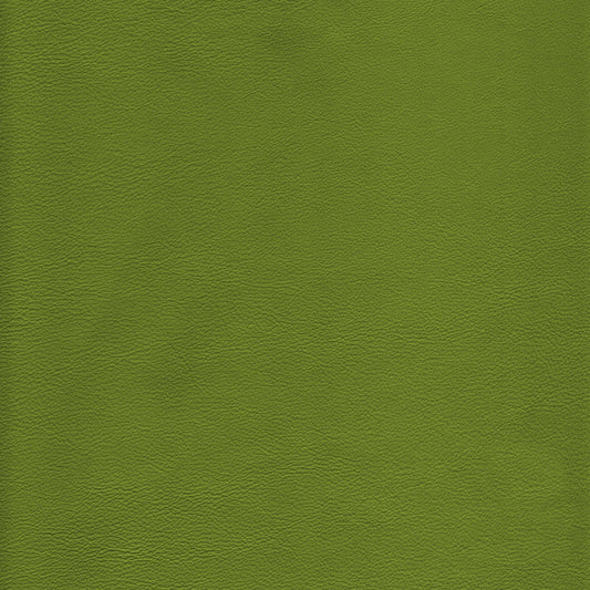 Lena 6699 Kiwi leather texture, olive green.