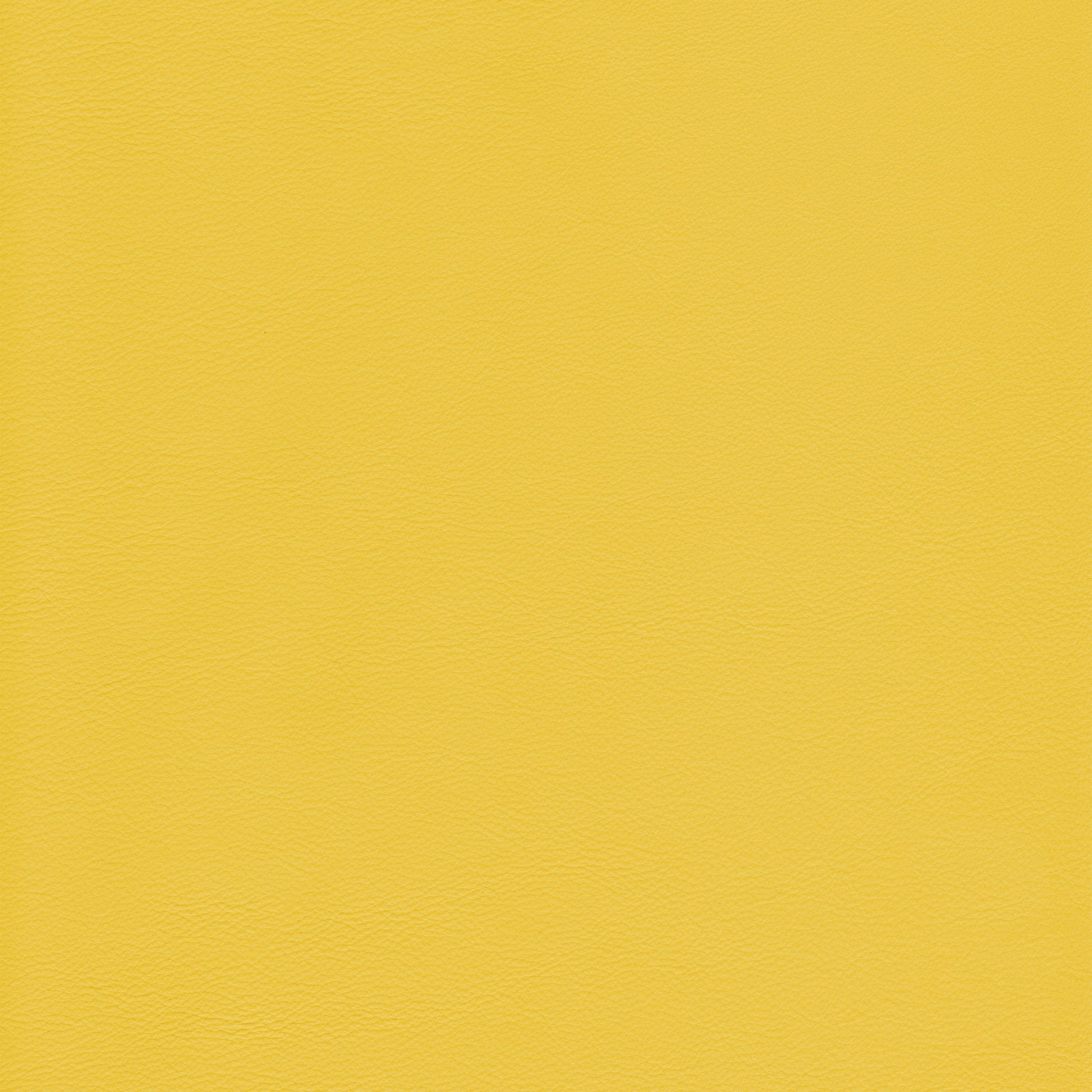 Lena 7063 Limone: textured yellow leather swatch