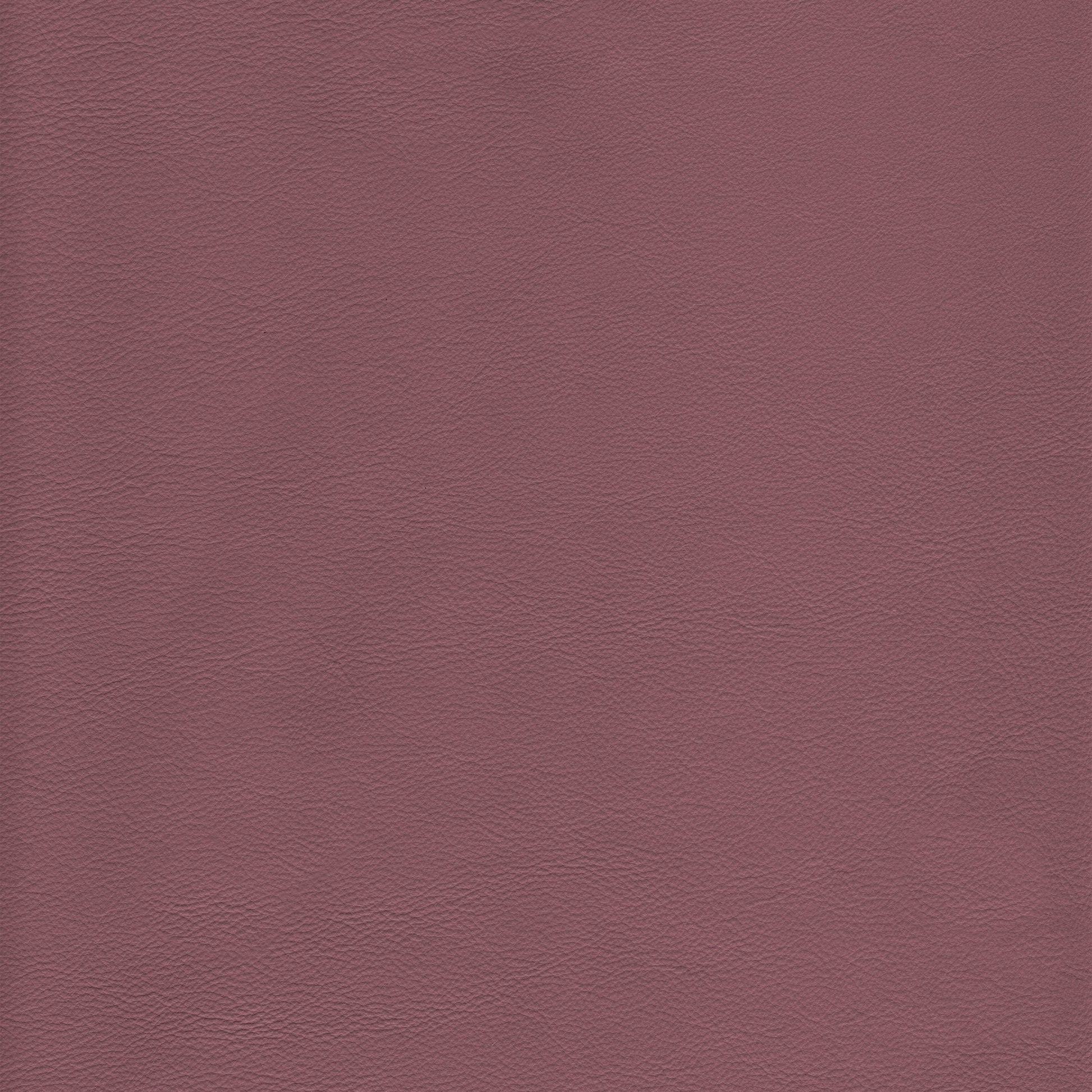 Lena 7704 Viola textured leather swatch in dusty rose