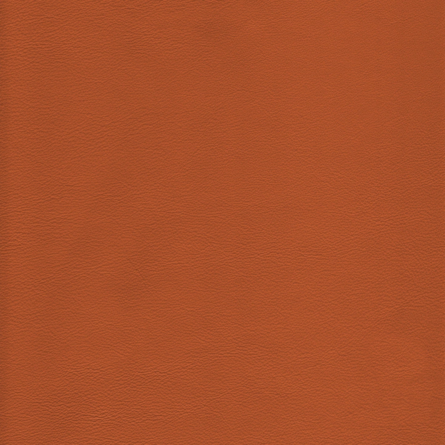 Lena 8023 Clay: Rich terracotta leather texture sample.
