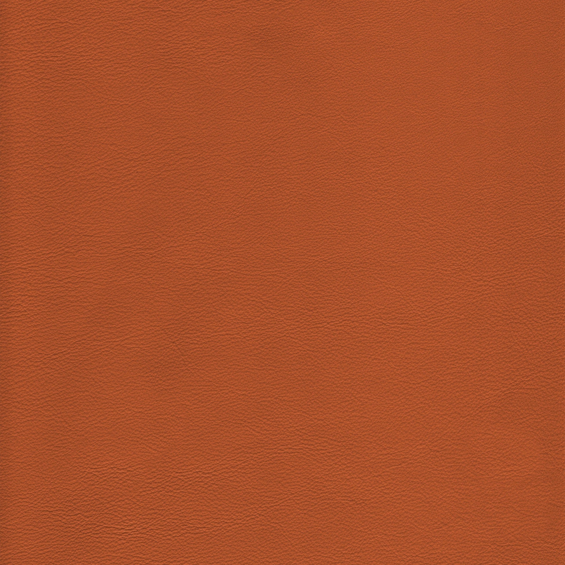 Lena 8023 Clay: Rich terracotta leather texture sample.