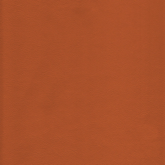 Lena 8023 Clay: Rich terracotta leather texture sample.