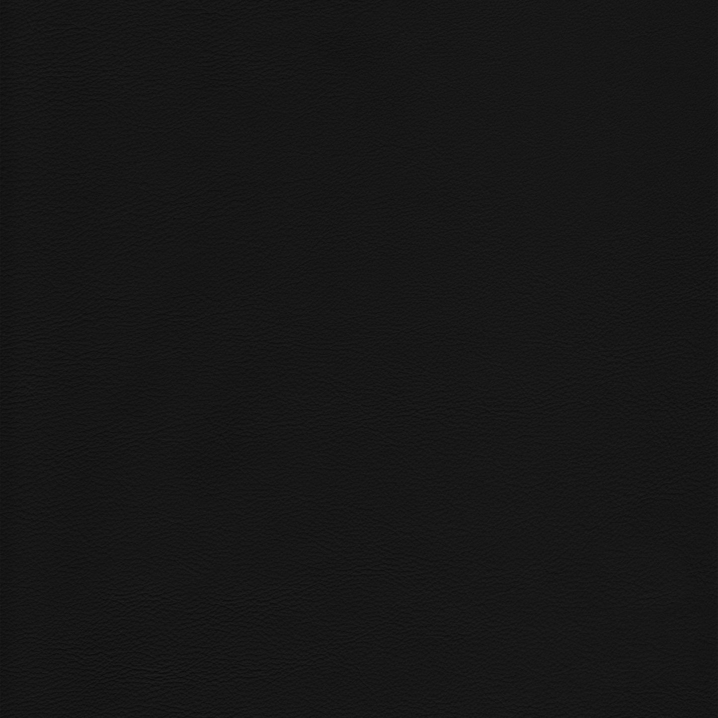Lena 9000 Black leather swatch: deep black, textured grain.