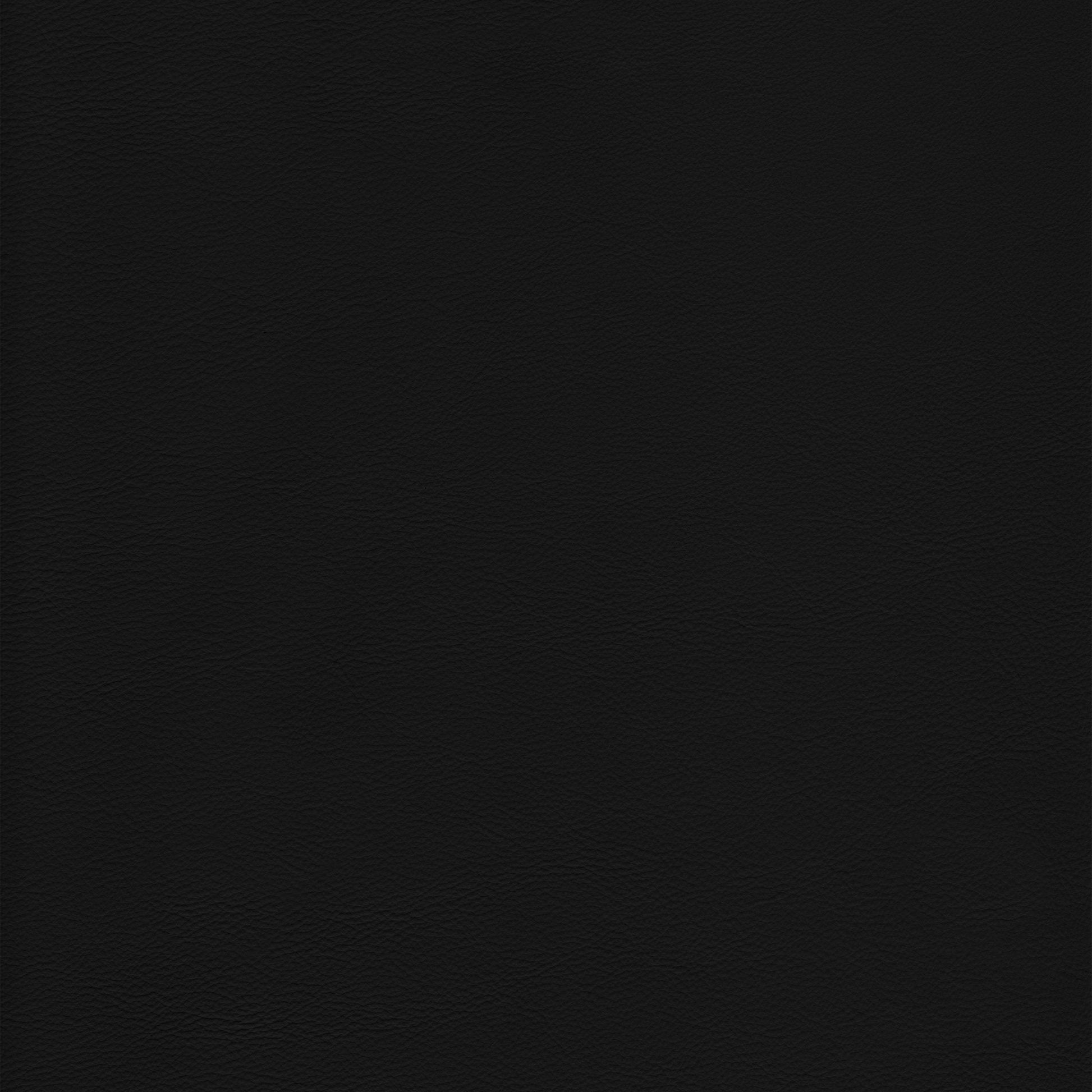 Lena 9000 Black leather swatch: deep black, textured grain.