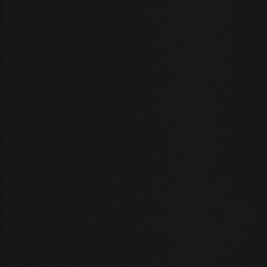 Lena 9000 Black leather swatch: deep black, textured grain.