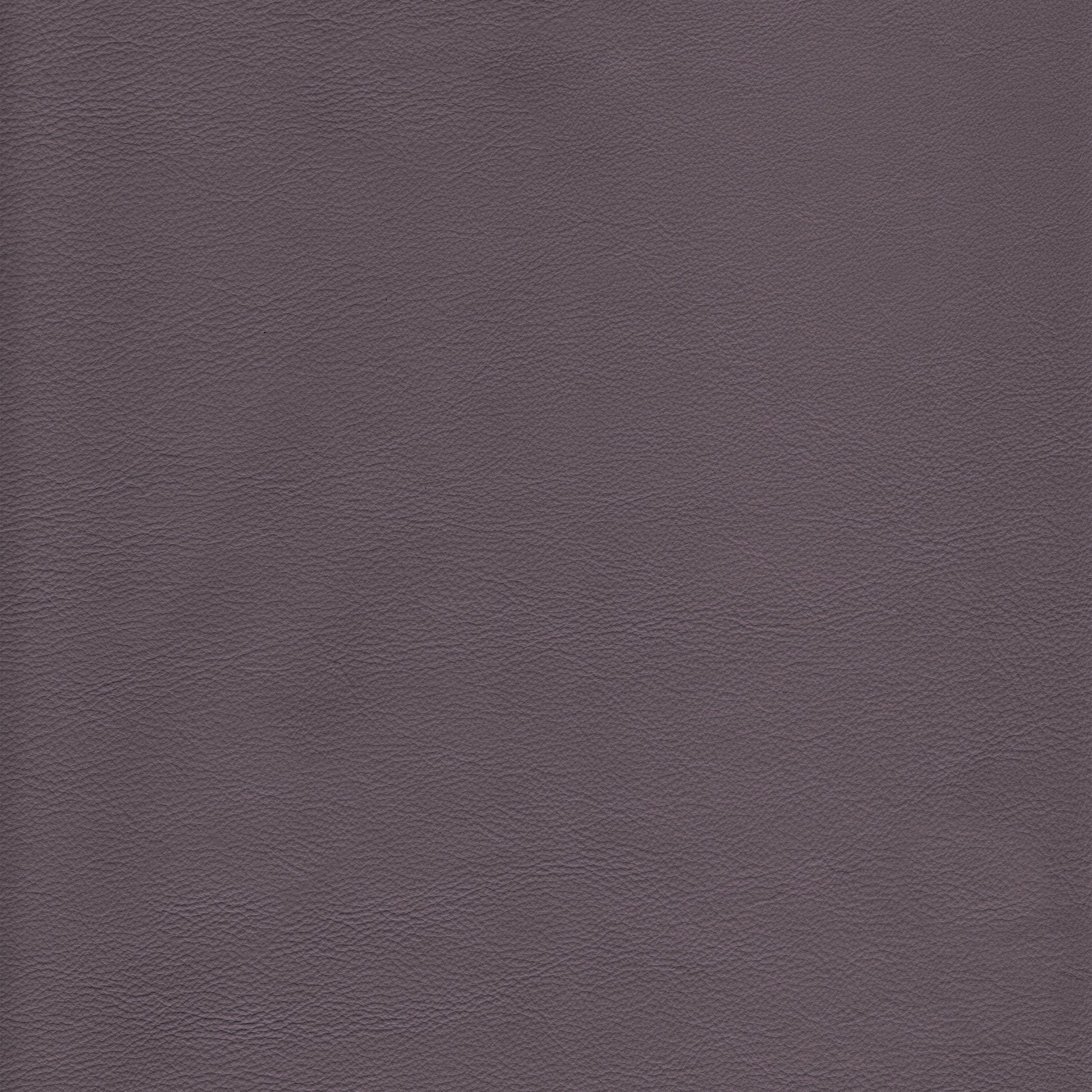 Lena 9200 Quahog textured leather swatch, deep taupe.