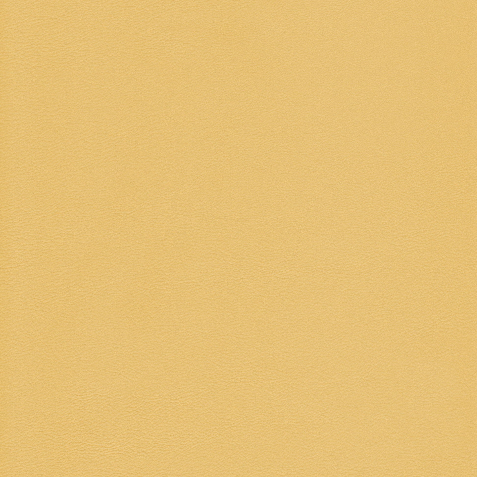 Lena 9592 Sunshine pale yellow leather swatch