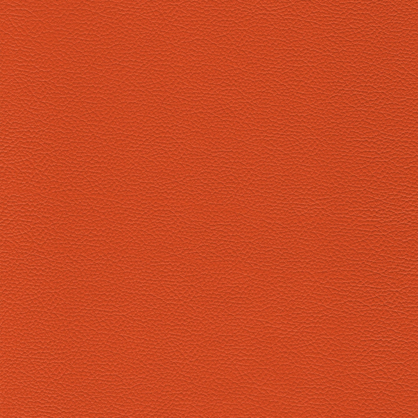 Sierra – 100 Cannella: textured orange leather swatch