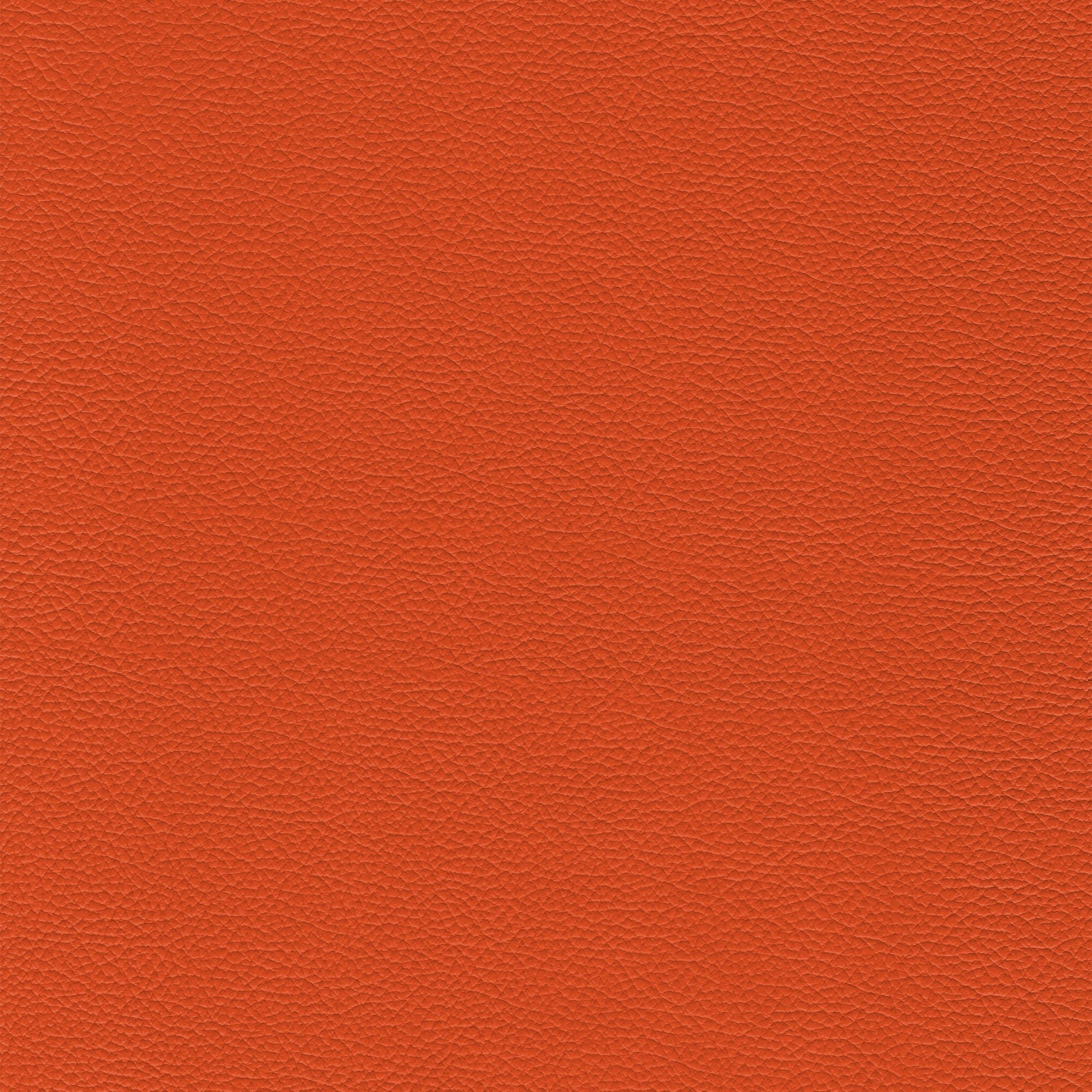 Sierra – 100 Cannella: textured orange leather swatch