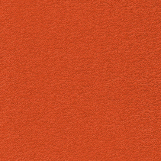 Sierra – 100 Cannella: textured orange leather swatch