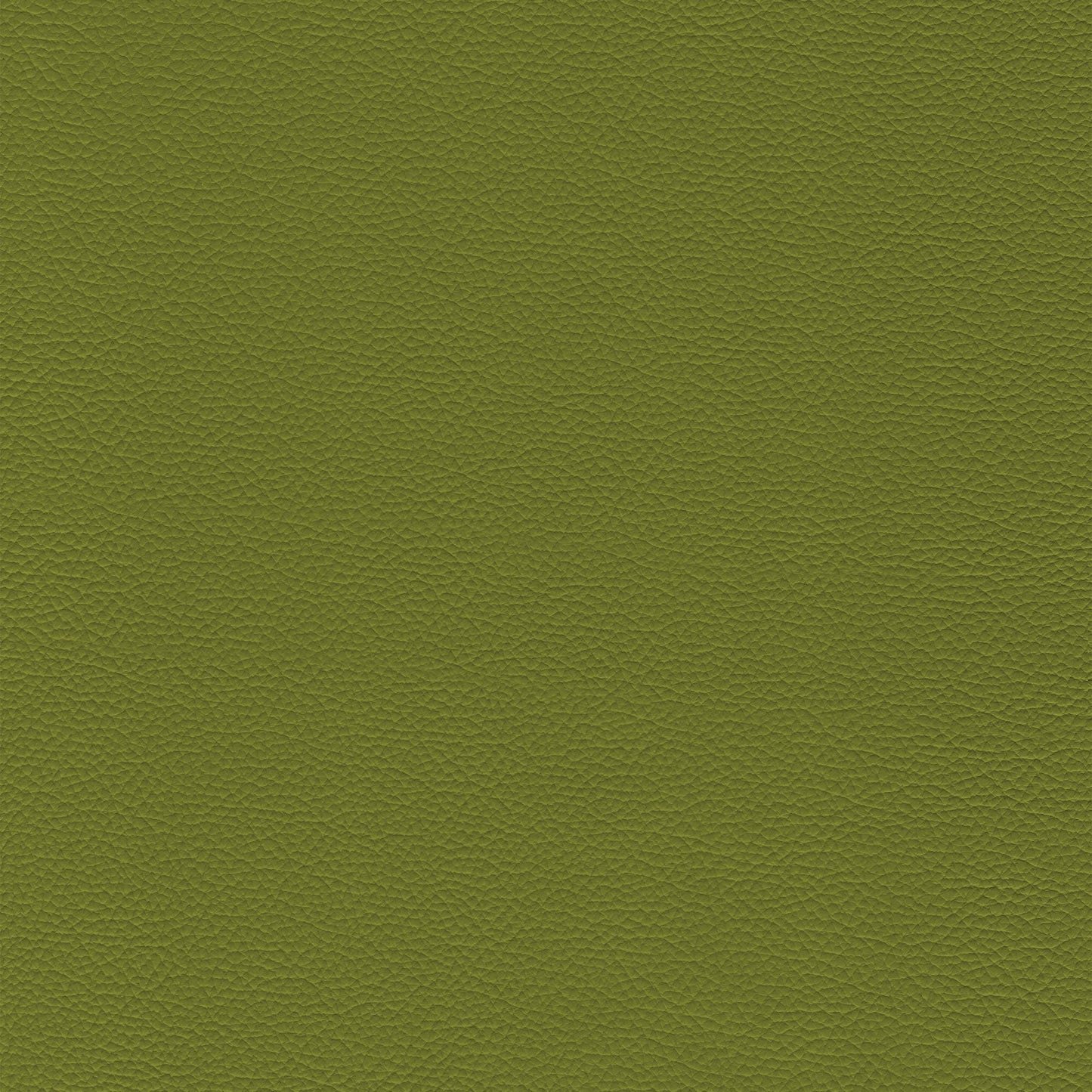 Sierra 104 Guacamole textured leather swatch in olive green.