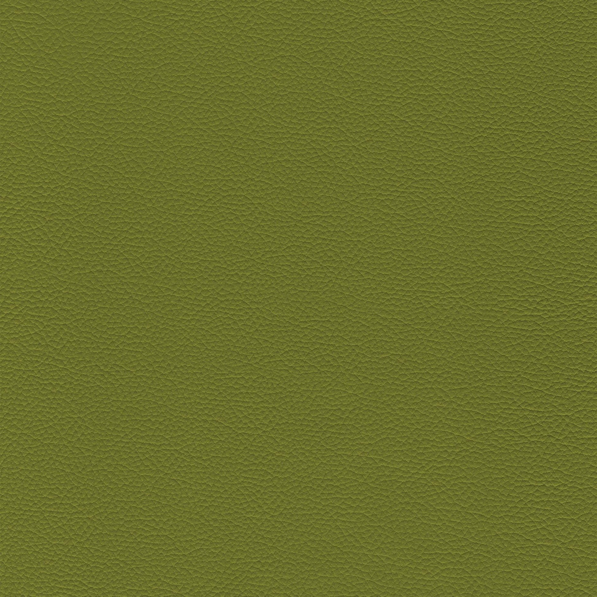 Sierra 104 Guacamole textured leather swatch in olive green.
