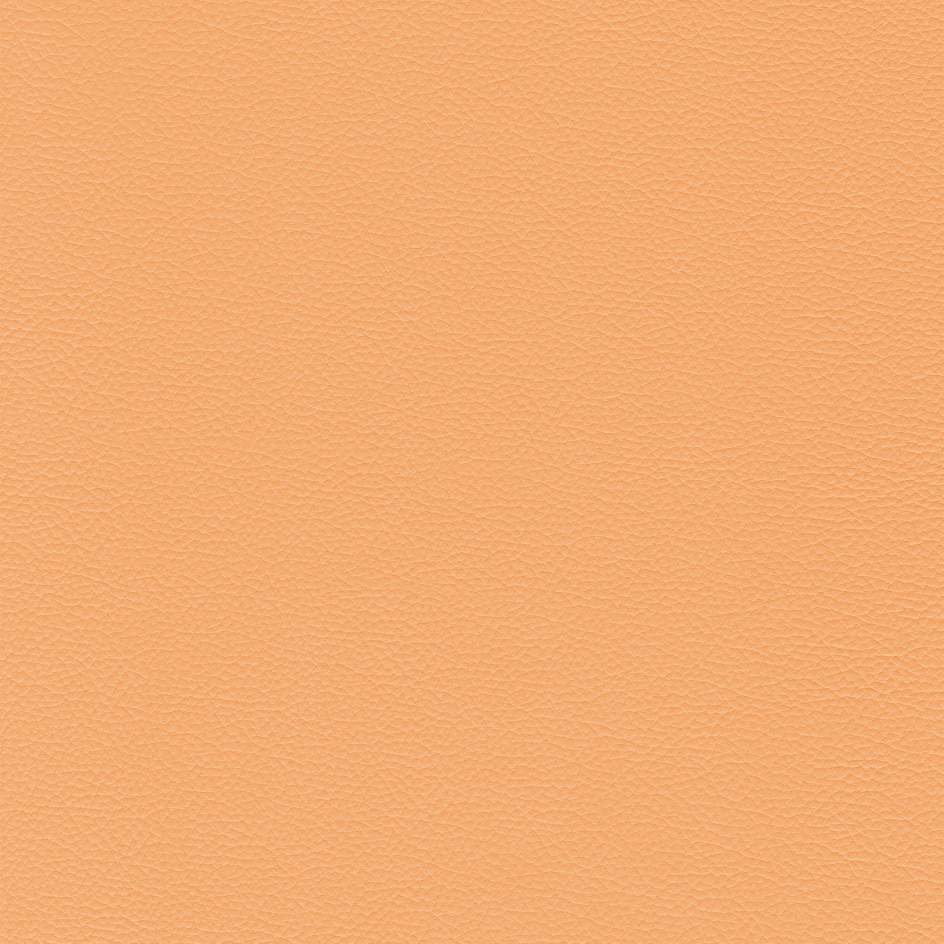 Sierra 123 Peach leather swatch: Peach colored textured leather.