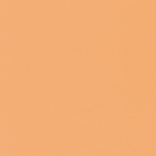Sierra 123 Peach leather swatch: Peach colored textured leather.