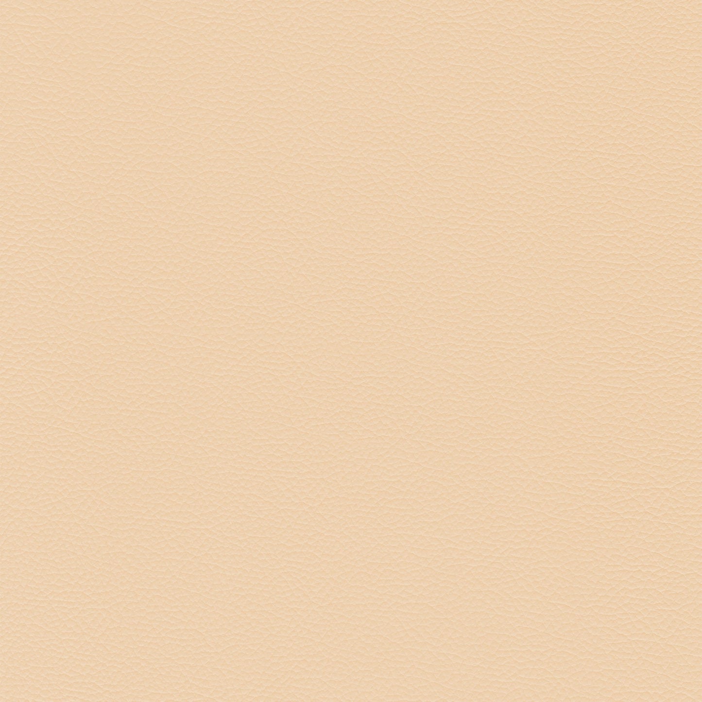 Sierra 129 Magnolia leather swatch: pale beige, textured grain.