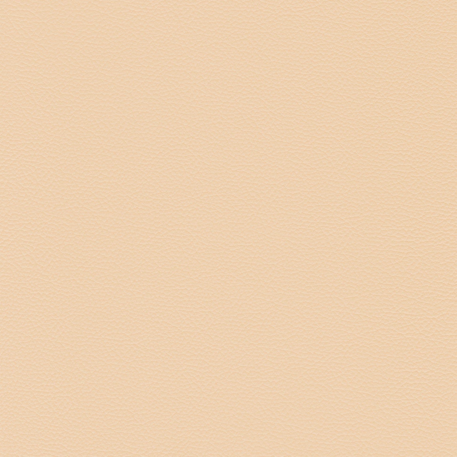 Sierra 129 Magnolia leather swatch: pale beige, textured grain.