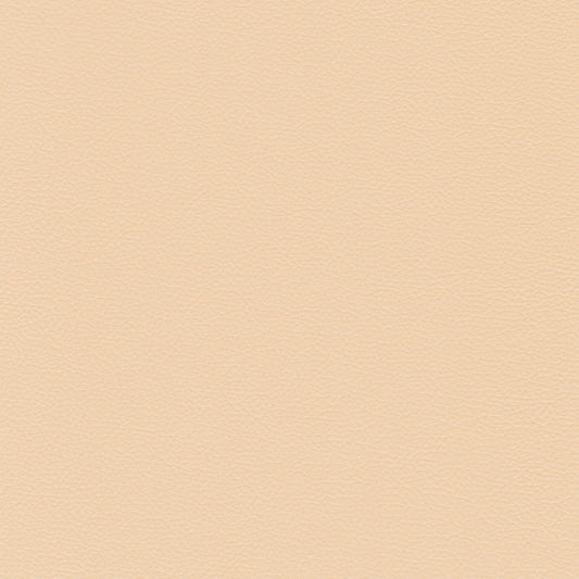 Sierra 129 Magnolia leather swatch: pale beige, textured grain.